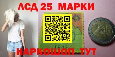 Альфа ПВП Малгобек