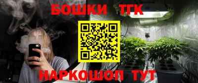 Альфа ПВП Малгобек