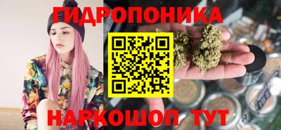 хмурый Малоярославец