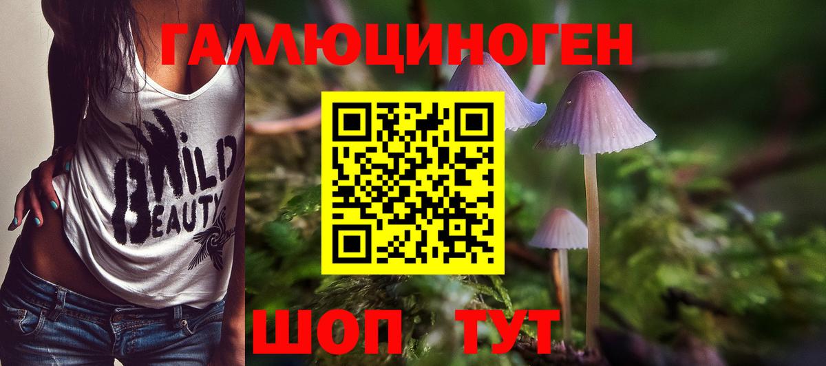 Псилоцибиновые грибы Cubensis Вичуга