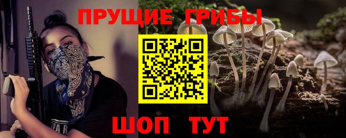 где купить наркоту  Галлюциногенные грибы GOLDEN TEACHER  Вход с VPN  Вичуга 